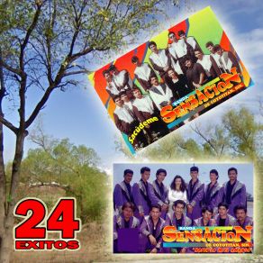 Download track Corrido Del Tacuche Banda Sensacion De Coyotitan Sinaloa