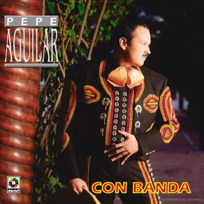 Download track Catorce Años Nueve Meses Pepe Aguilar