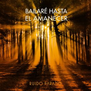 Download track Bailaré Hasta El Amanecer (Single Mix) Ruido Paraíso