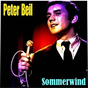 Download track Sommer Wird Es Sein Peter Beil