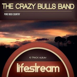 Download track Doing Well The Crazy Bulls Band