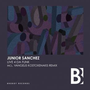 Download track Live 4 Da Funk Junior Sanchez