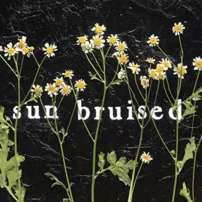 Download track Misery Queen Sun Bruised