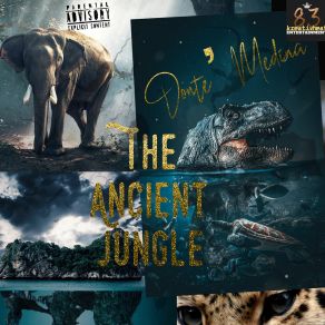 Download track Ancient Rain Dance Donte' Medina