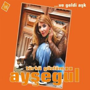 Download track Yalvardım Ayşegül