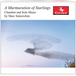 Download track A Murmuration Of Starlings: II. A Charm Of Goldfinches Matthew Nelson, Stephen Mattingly, Parker Ramsey, Kathleen Karr, Jayne Drummond, Elysian Trombone Consort