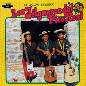 Download track Mi Tonto Corazón Los Jilgueros Del Pico Real