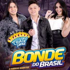 Download track Romântico Anônimo (Ao Vivo) Bonde Do Brasil