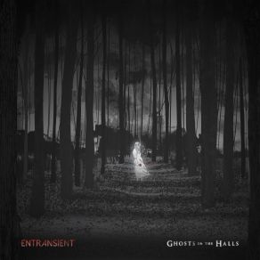 Download track Wooden Idols Entransient