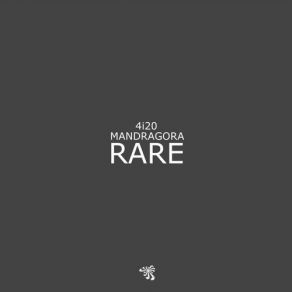 Download track Rare (Original Mix) 4i20, Mandragora