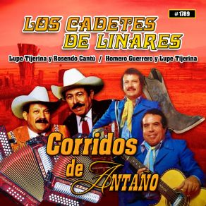 Download track El Carretonero Cadetes De Linares