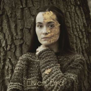 Download track The Japanese Tree Elven BirdDan Byron