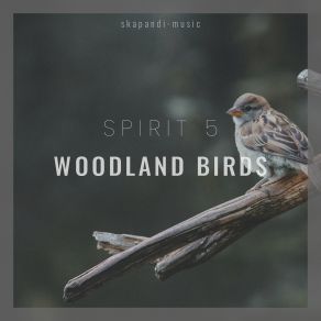 Download track Forest Symphony Spirit 5