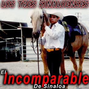 Download track Los Tres Sinaloenses El Incomparable De Sinaloa