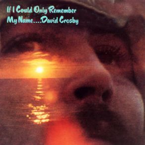 Download track Song With No Words (Tree With No Leaves) David Crosby