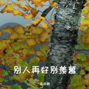 Download track 别人再好别羡慕 岳彩静