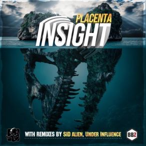 Download track Insight (Under Influence Remix) Placenta