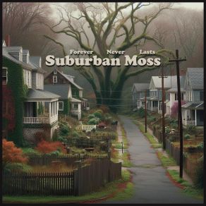 Download track Sunshine Suburban Moss