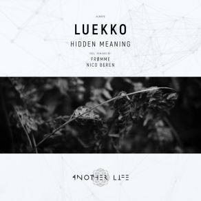 Download track Hidden Meaning (Frømme Remix) LuekkoFrømme