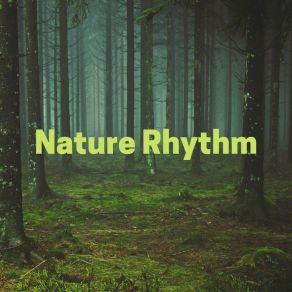 Download track 1 Hour Of River Sounds Through The Rocks, Pt. 28 Sounds Of Nature Noise