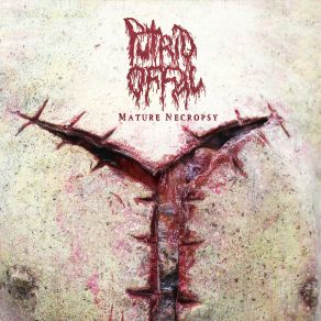 Download track Garroting Way Putrid Offal