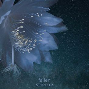 Download track Stjerne IV The Fallen