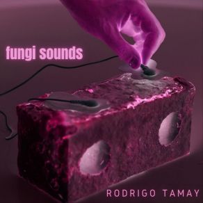 Download track Mycelium # 2 Rodrigo Tamay