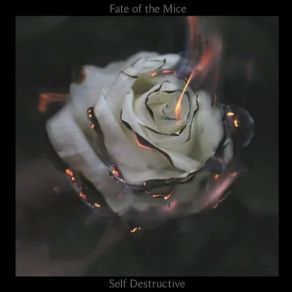 Download track Room Of Mirrors Fate Of The Mice