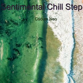 Download track Sentimental Chill Step Piano Codute Neo