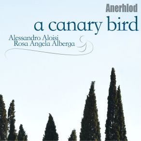 Download track Spinning Vertigo Rosa Angela Alberga