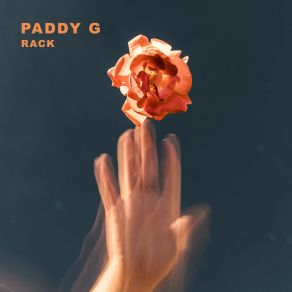 Download track Visual Paddy G