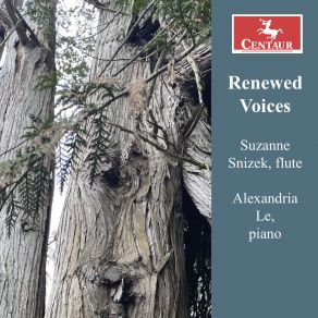 Download track Piece For Flute & Piano Suzanne Snizek