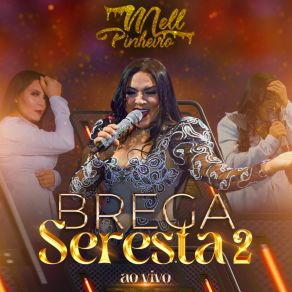 Download track Saudade (Ao Vivo) Mell Pinheiro