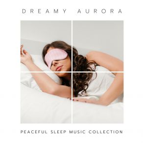 Download track Gentle Silence Peaceful Sleep Music Collection