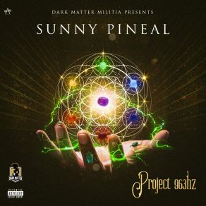 Download track Mind Traveling Sunny Pineal