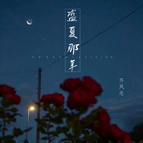 Download track 盛夏那年 (伴奏) 齐凤志