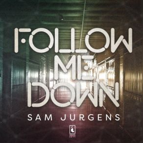 Download track Follow Me Down Sam Jurgens