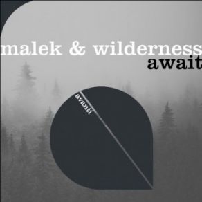 Download track Await (Extended Mix) Wilderness, Malek