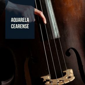 Download track Aquarela Cearense Trio Nago