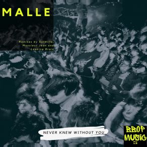 Download track Never Knew Without You (Original Mix) Malle