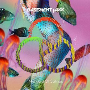 Download track Mermaid Of SalinasMichel Cleis Drumless Frozzy Dub Basement Jaxx