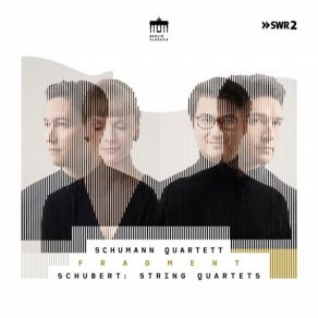 Download track Quartet Movement In C Minor, D 703 II. Andante (Fragment) Schumann Quartett