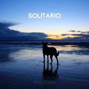 Download track Ojitos Waltergb