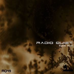 Download track Infusion (Original Mix) Radio Quiet