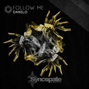 Download track Rave With Lines (Original Mix) Danilo