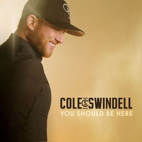 Download track Party Wasnt Over Cole Swindell