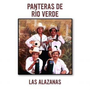 Download track Son Del Pajarillo (Remasterizado 2024) Panteras De Río Verde