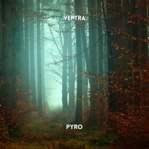 Download track Pyro (Radio Edit) Veptra