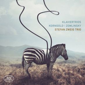 Download track Piano Trio In D Major, Op. 1: I. Allegro Non Troppo, Con Espressione Stefan Zweig Trio