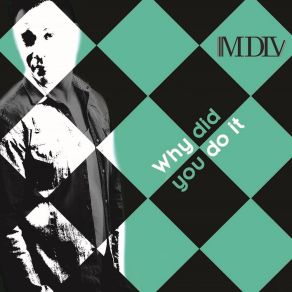 Download track Why Did You Do It (Radio Edit) Mdlv